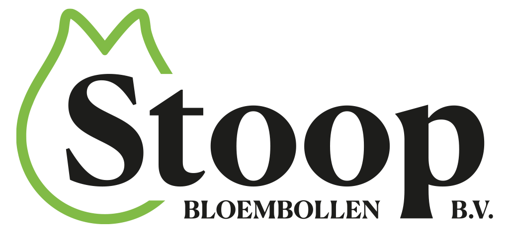 Stoop Bloembollen
